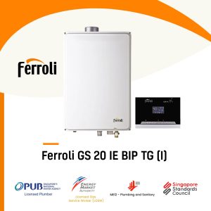 Ferroli GS 20 IE BIP TG (I) City Gas Heater