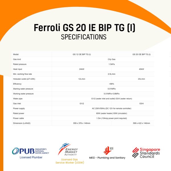 Ferroli GS 20 IE BIP TG I Specifications