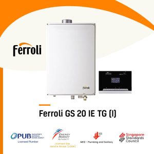 Ferroli GS 20 IE TG (I) City Gas Heater