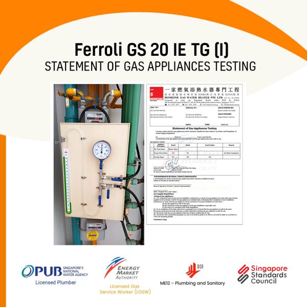 Ferroli GS 20 IE TG (I) City Gas Heater Statement Of Gas Appliances Testing