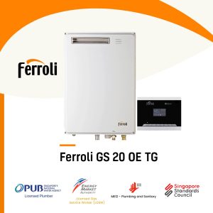 Ferroli GS 20 OE TG City Gas Heater