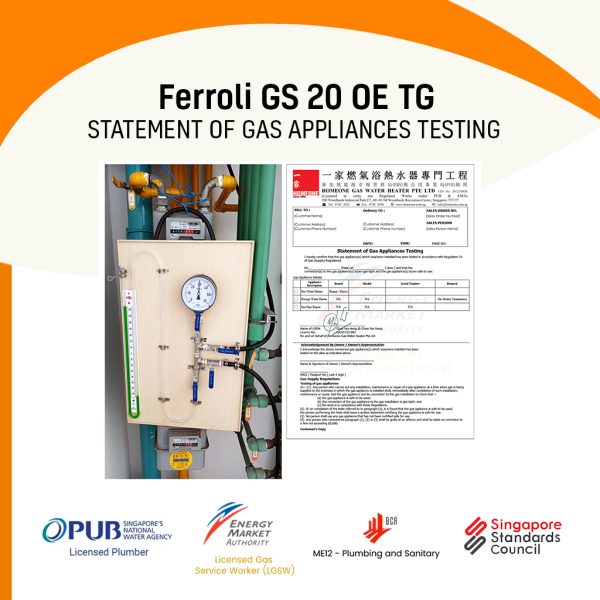 Ferroli GS 20 OE TG City Gas Heater Statement Of Gas Appliances Testing