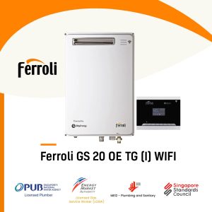 Ferroli GS 20 OE TG (I) WIFI City Gas Heater