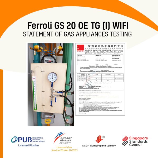 Ferroli GS 20 OE TG (I) WIFI City Gas Heater Statement Of Gas Testing Appliances